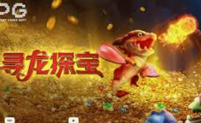 星空全站手机版