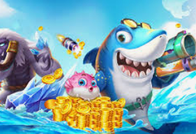 星空全站最新版